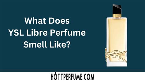 ysl libre comparison|ysl libre perfume smell like.